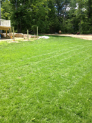 Coy's Hydroseeding and Lawn Care